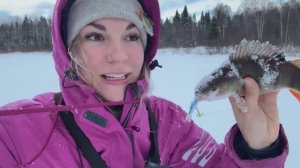 ПЕРВЫЙ ЛЕД 2024-2025 на деревенской речке! Ловлю ХИЩНИКА НА БАЛАНСИР в заливе!