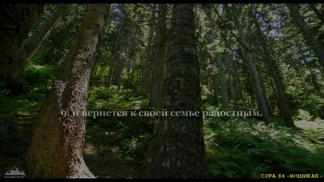 Красивое чтение Корана 30-го джуза [Суры 78-97] Чтец: Сиратуллах Раупов (2023 г.) смотреть онлайн