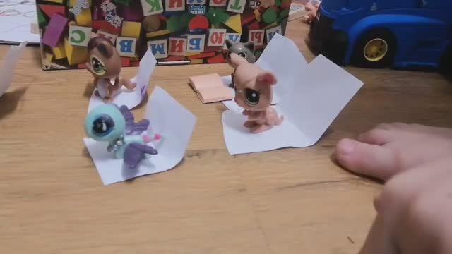 Летим с питомцами на самолете