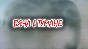 Вяча в тумане