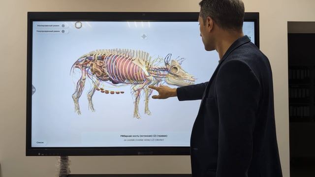 Атлас анатомии животных: интерактивное 3D-пособие смотреть онлайн