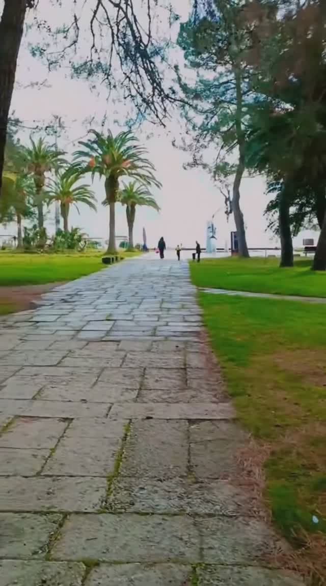 Абхазия, курорт Пицунда (10 декабря, ЗИМА 2025-2026) смотреть онлайн