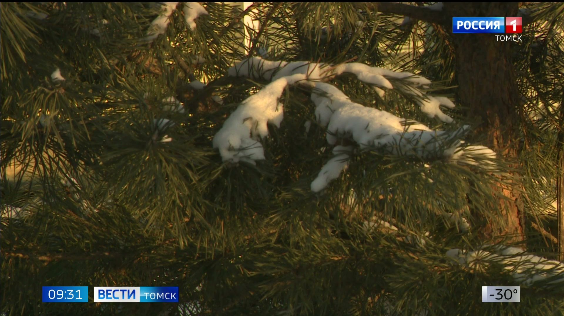 Вести-Томск, выпуск от 10.12.2025 09:30 смотреть онлайн