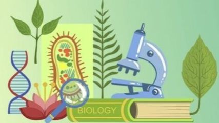 Биология 7 класс. Экологические факторы смотреть онлайн