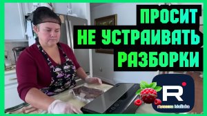 Сельчанка в Америке _Просит не устраивать разборки _Обзор _Selchanka v Amerike _Big Big Family _