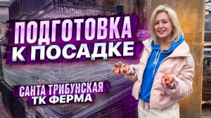 Подготовка к посадке. Сезон 2026