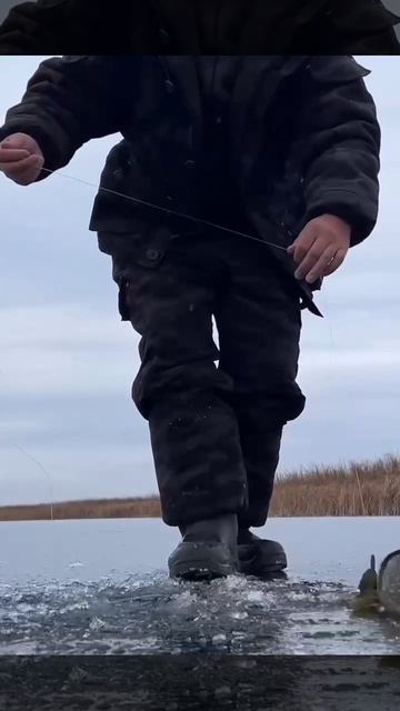 Первый лёд. Первая жерлица. Первая щука. Во всём первые!. смотреть онлайн