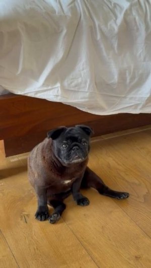 Доброе утро ☀️🤍