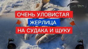 УЛОВИСТАЯ ЖЕРЛИЦА на СУДАКА и ЩУКУ! ЭФФЕКТИВНАЯ жерлица для ловли судака и щуки своими руками.