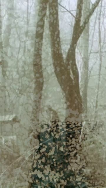 Писк игрушки смотреть онлайн