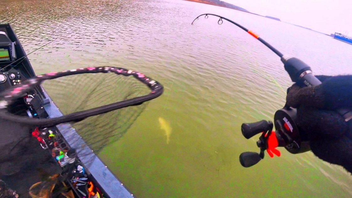 ЗЛЫЕ УДАРЫ НА ЗИМНЮЮ УДОЧКУ! РЫБАЛКА ! ПЕРВЫЙ ЛЁД 2025 ЖДЁМ! смотреть онлайн