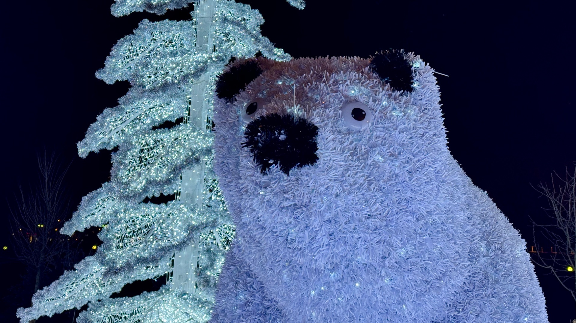 Полярные медведи в парке у Ростокинского акведука смотреть онлайн