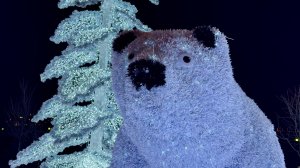 Полярные медведи в парке у Ростокинского акведука