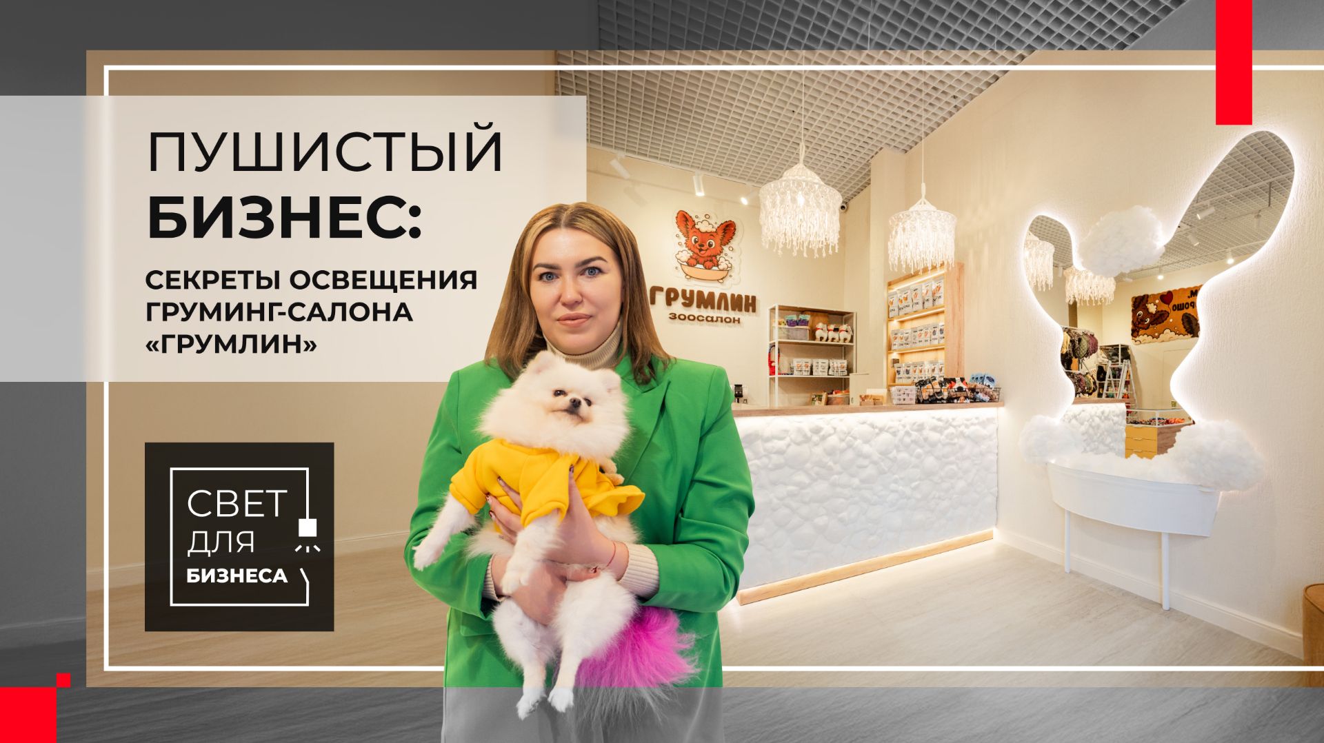 Свет для бизнеса: что скрывает успешный груминг-салон? 5 световых фишек «Грумлина» смотреть онлайн