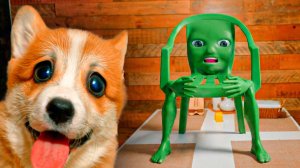 КАРКЕРКАР КУРКУР!! Жадный брейнрот! Корги Коржик Говорящая собака