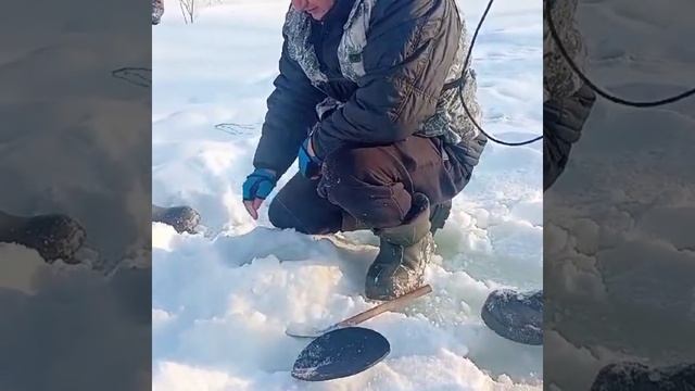 МОРОЗ И СОЛНЦЕ И ПОУШИ В СЧАСТЬЕ❗️ смотреть онлайн