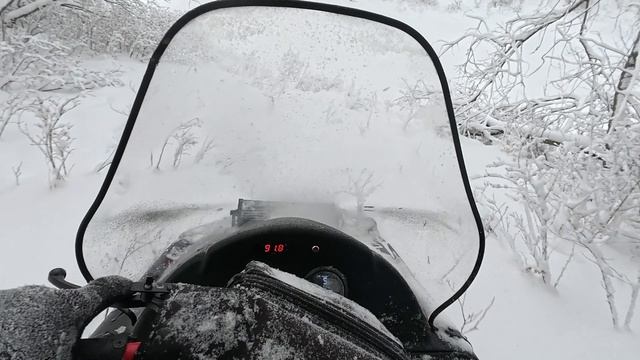 Снегоход См-003 по лесу смотреть онлайн