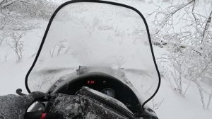 Снегоход См-003 по лесу