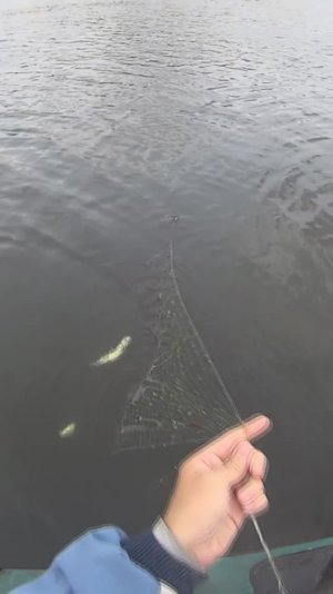 Рыбалка на косынку с лодки!