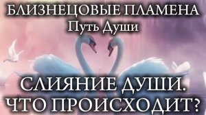 СЛИЯНИЕ ДУШИ. ЧТО ПРОИСХОДИТ?