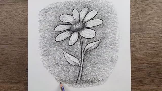 Как нарисовать Цветок карандашом поэтапно. Легкий рисунок цветка смотреть онлайн