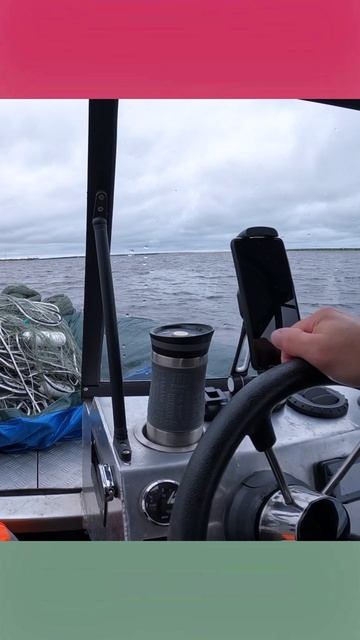 О каком Браконьерстве идёт речь смотреть онлайн