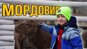 Посещение заповедника "Сафари" в республике Мордовии.