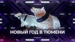 Кто приедет в Тюмень на Новый год?