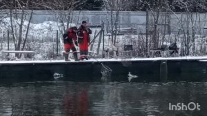 Клюёт ❄️🐟