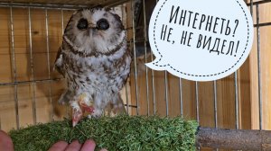 Нет сил терпеть - хочется говорить! Даже сыч Лучик не мешал моему руганию и истории про мину в луже