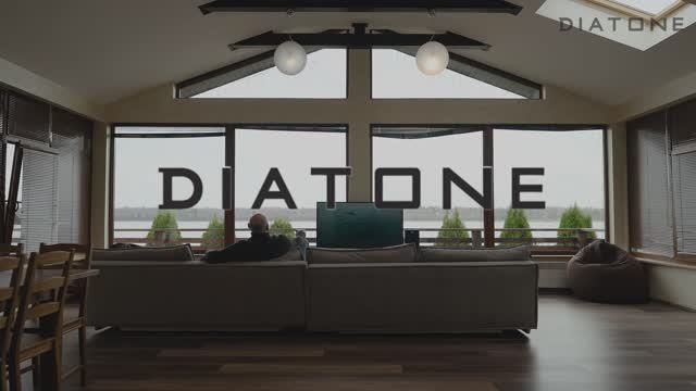 Звук, который захватывает - линейка Quantum японского бренда Diatone!