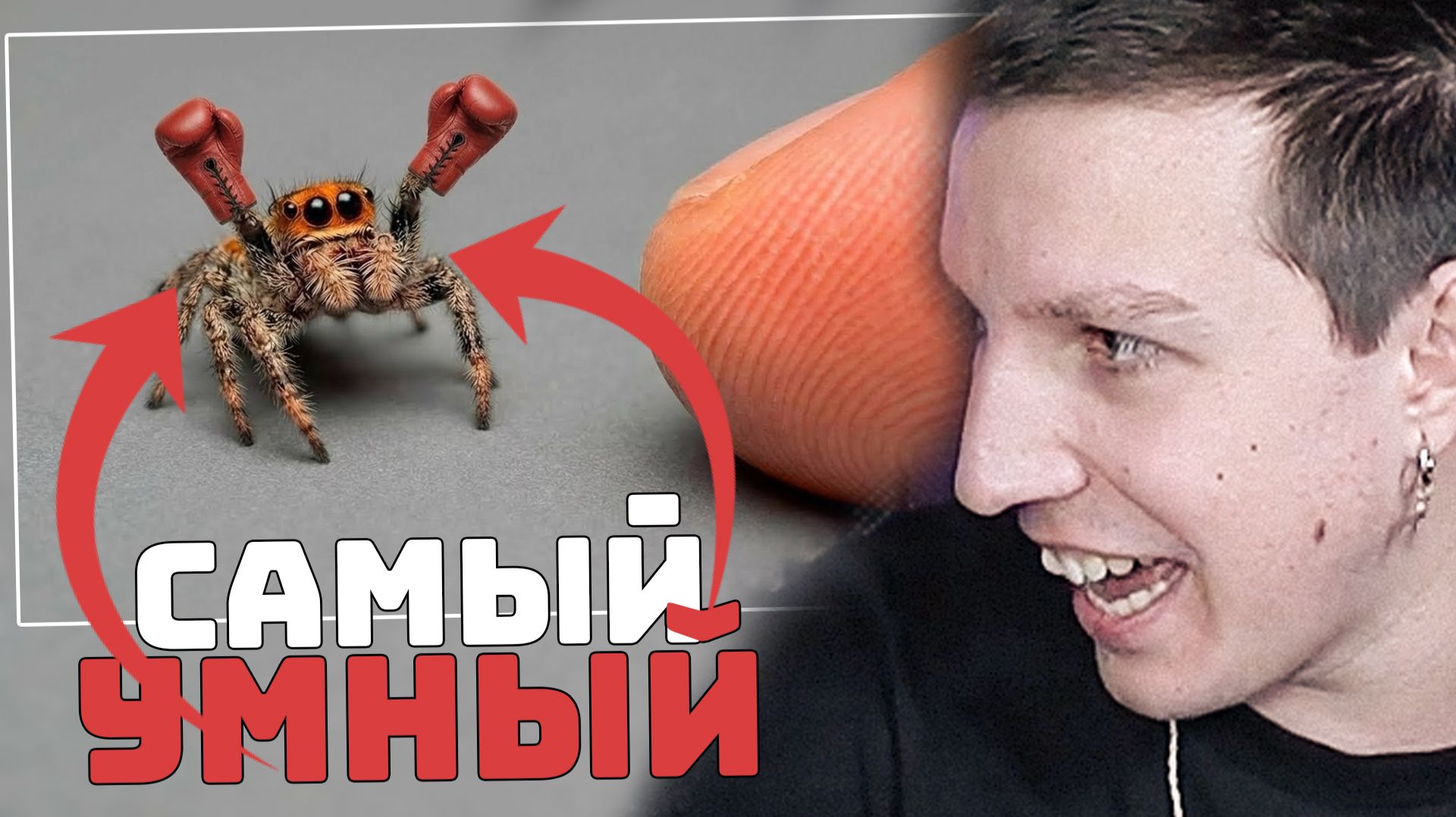 Я ПОДРУЖИЛСЯ С САМЫМ УМНЫМ ПАУКОМ В МИРЕ | РЕАКЦИЯ МАЗЕЛЛОВА смотреть онлайн