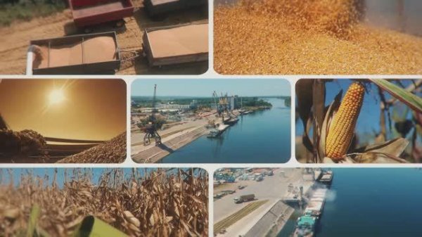 Имиджевый ролик ЦОК АПК