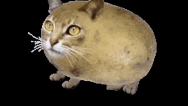 песня new soul от meowl смотреть онлайн