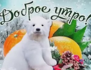 ДОБРОЕ УТРО, ДОБРОГО ДНЯ