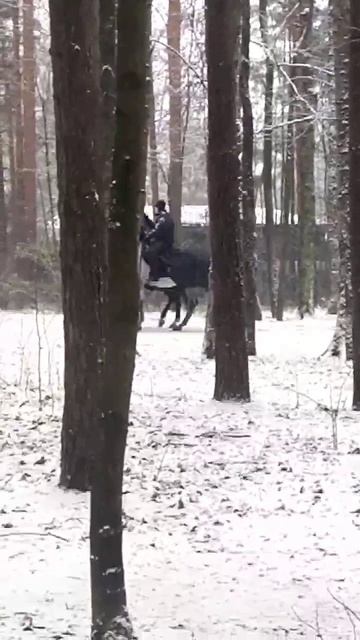 Парковый патруль.