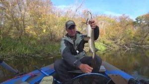 ЭТО ЖЕСТЬ. ЩУКА КАННИБАЛ атаковала рыбу которую я тащил и обе угодили в подсак. Рыбалка на спиннинг