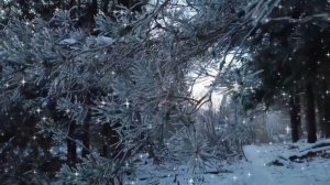 ДОБРЫЙ ВЕЧЕР! ПУСТЬ ОСТАНЕТСЯ ТЕПЛО♨ ОТ НАШЕЙ ВСТРЕЧИ