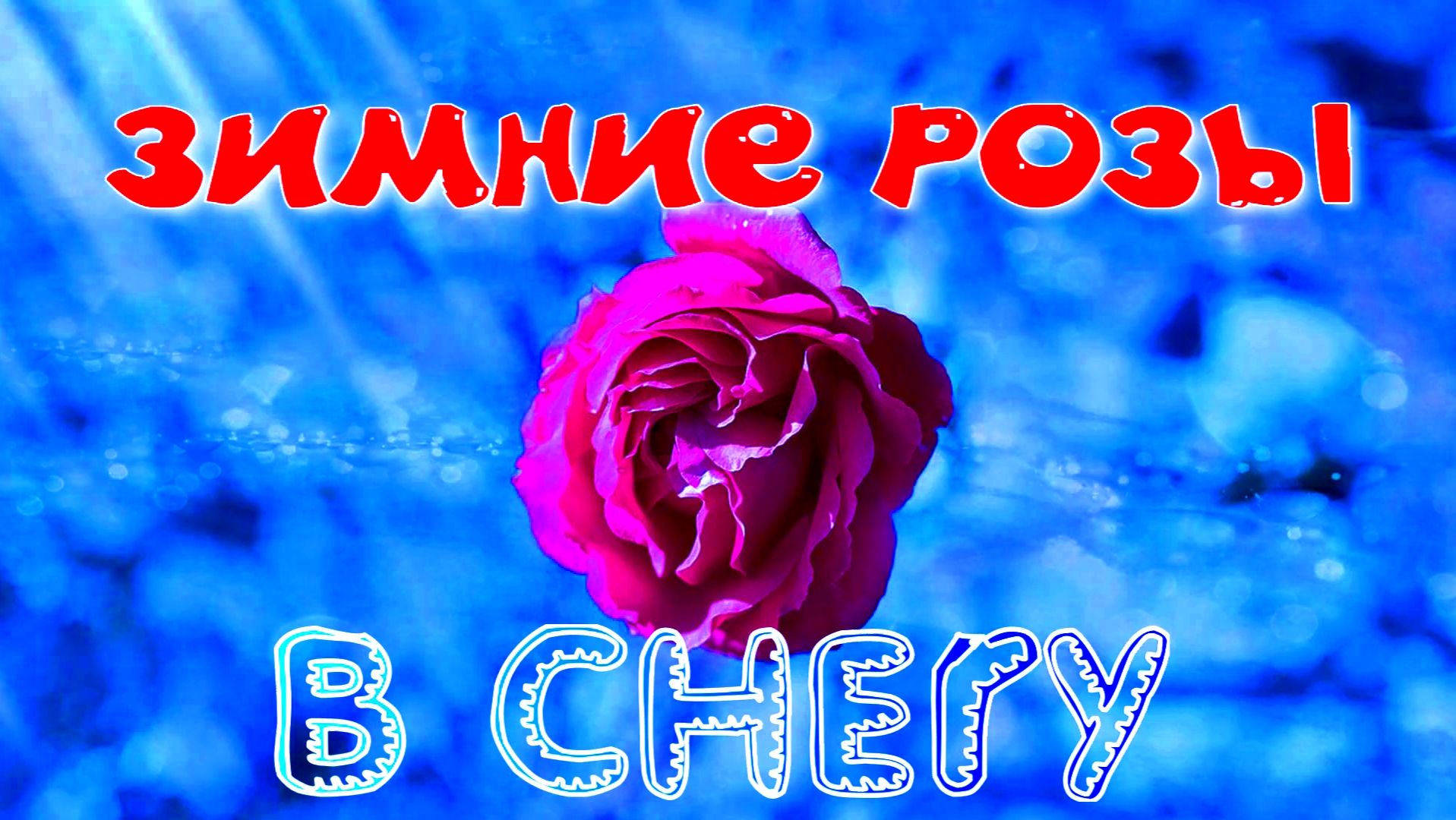 РОЗЫ В СНЕГУ. 10 ДЕКАБРЯ 2025 ГОДА. МОСКВА. смотреть онлайн