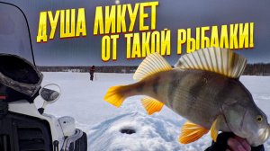 Нашли свал в русло и началось! Леска звенит от этих рыб! Рыбалка удалась!