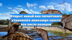 Открыт новый вид гигантского утконосого динозавра спустя век после находки