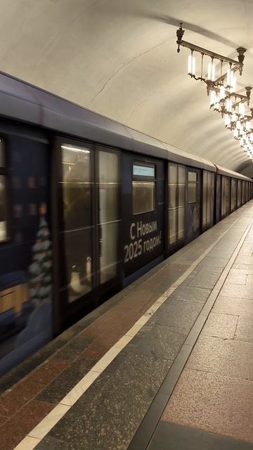 Новогодний поезд Москва-2020 на станции Добрынинская 2025