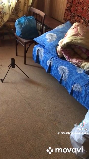 квартира с риалным приведением бабушки смотреть онлайн