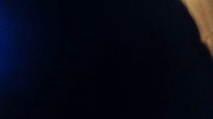 5 ночей с Максимом Пользовательская ночь