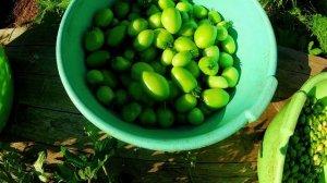 Томат Боец-Буян-лучший сорт на Селигере.