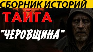 ЖУТКИЕ ИСТОРИИ, РАССКАЗЫ НА НОЧЬ. СБОРНИК СТРАШИЛОК.