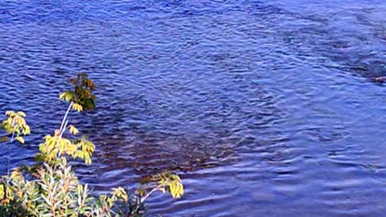 Течение реки в Ельце смотреть онлайн