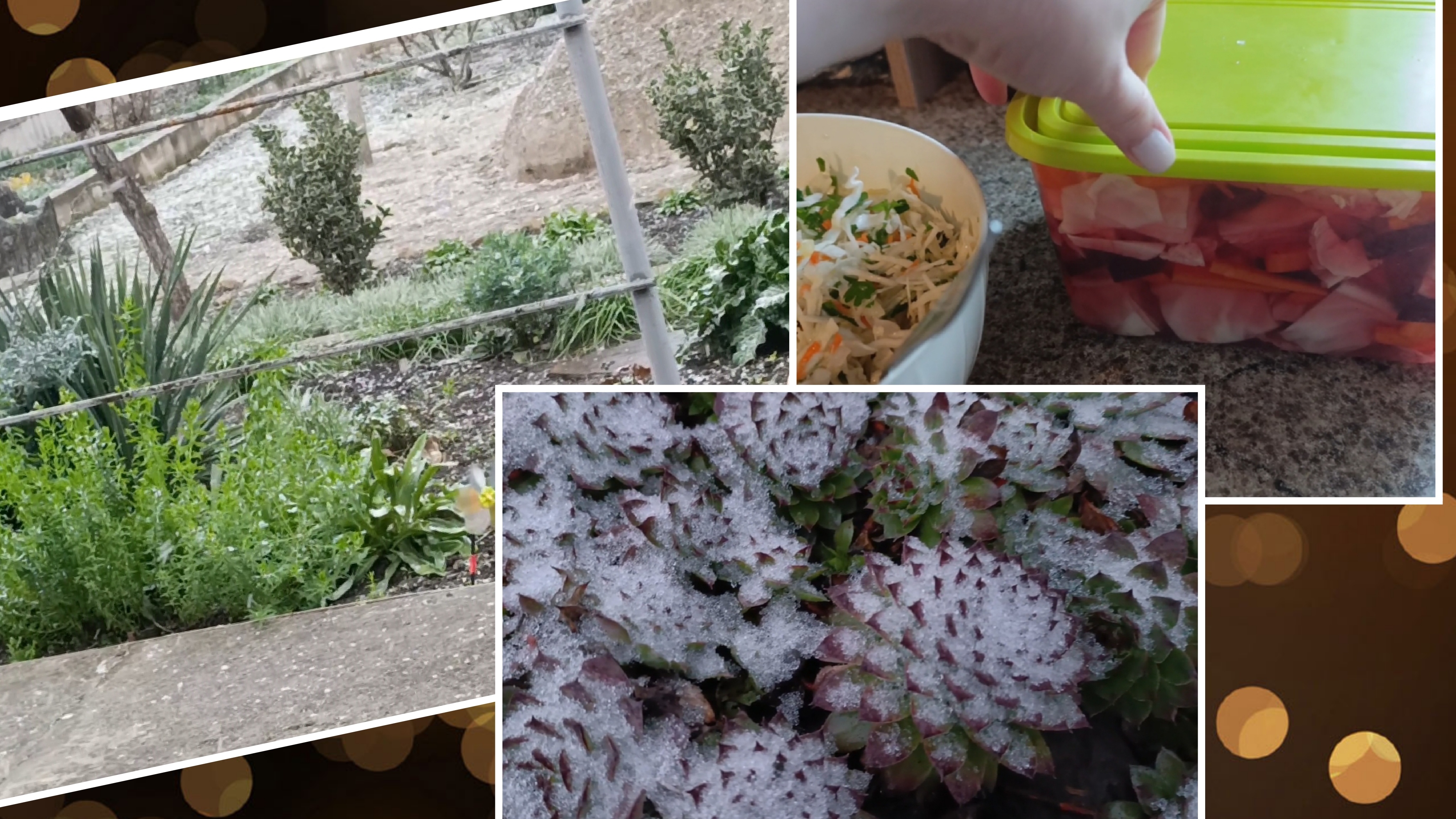 ❄️Первый снег❄️... Солю и мариную капусту... Перекопали... пересадили🌿... смотреть онлайн