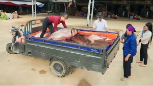 Покупаю рыбу у фермеров и везу ее на рынок продавать местным жителям. Жизнь во Вьетнаме. Фуонг