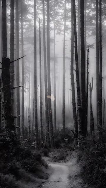 Спящая соседка смотреть онлайн